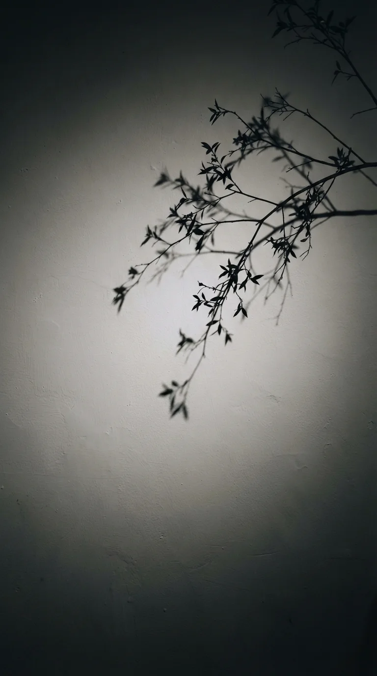8. Subtle Shadow Play